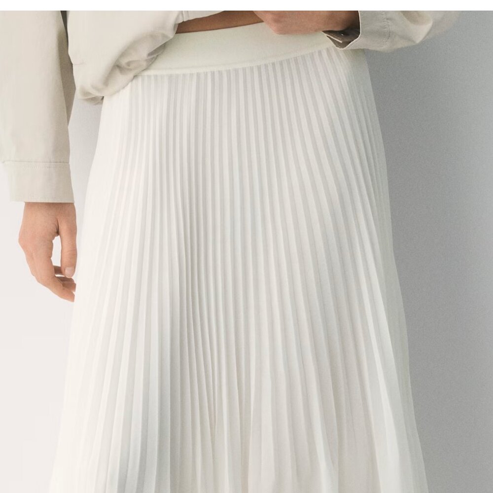 Aritzia Twirl Pleated Skirt